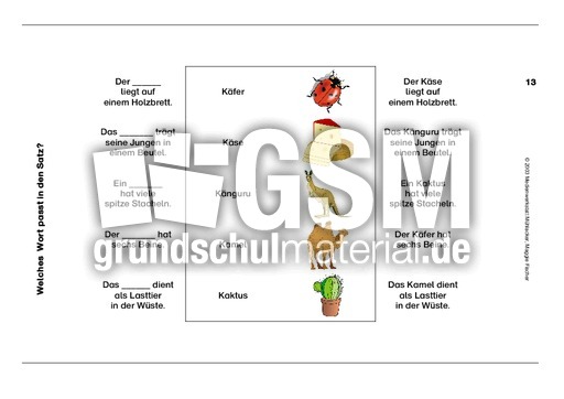 VARIO-Lesen13.pdf